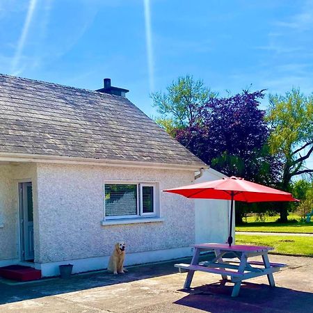 Villa Nolans Organic Farm Wexford Exterior foto